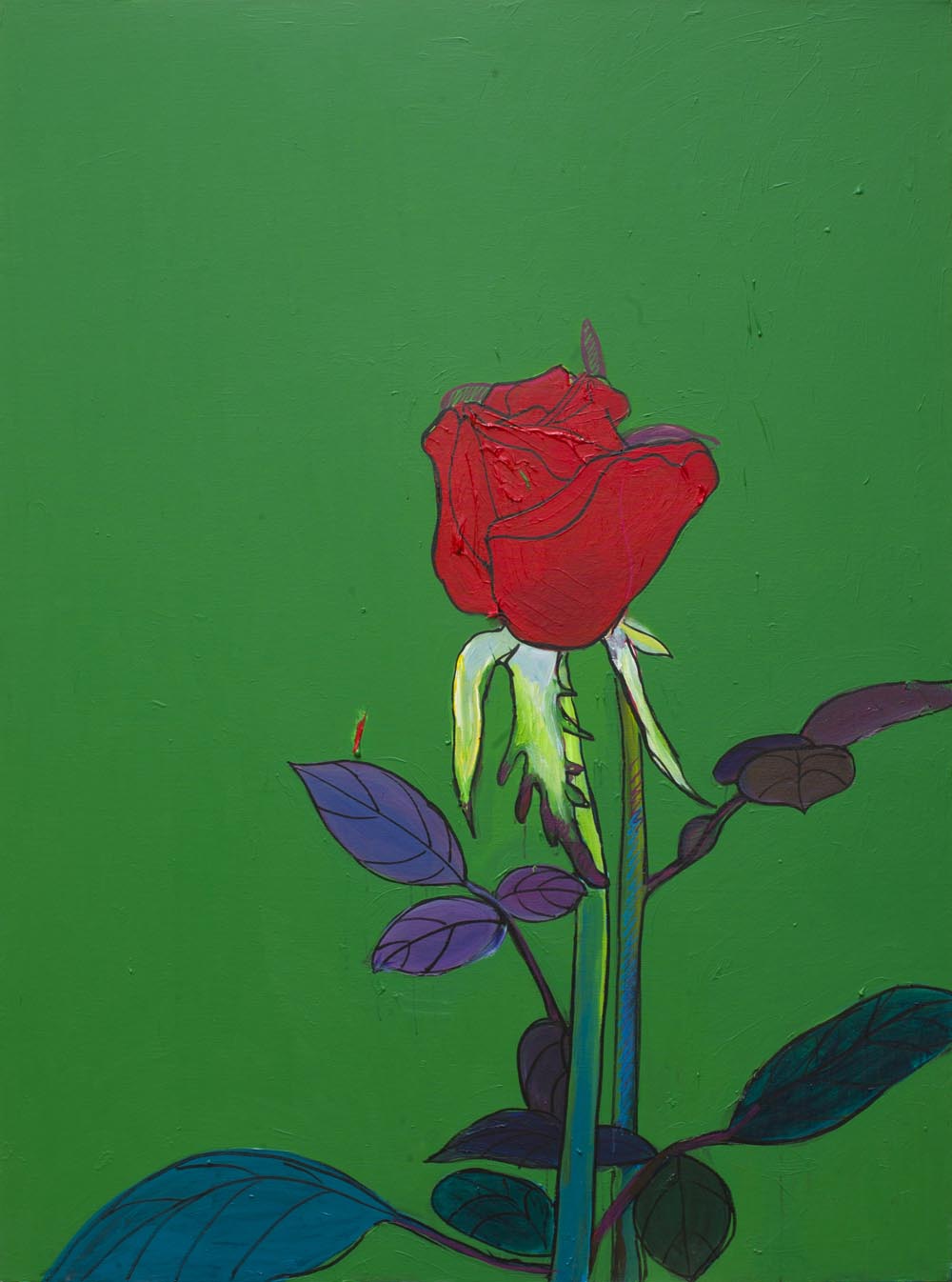 RED FLOWER | 大红花