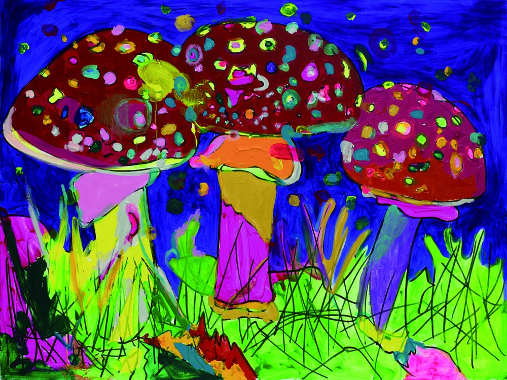PSYCHEDELIC PLACES | 迷幻地